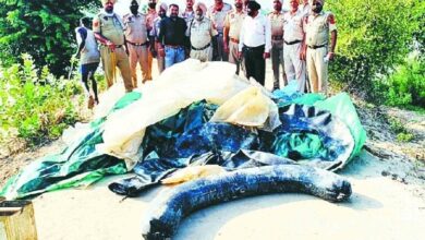 Photo of 64 हजार लीटर कच्ची दारू बरामद सतलुज नदी के टापू से 1250 बोतलें भी पकड़ीं