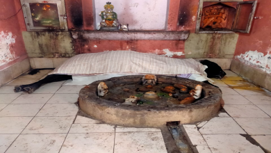 Photo of शिवलिंग की परिक्रमा कर ‘नंदी’ ने त्याग दिए प्राण आज तक नहीं देखा होगा शिव शंकर का ऐसा भक्त