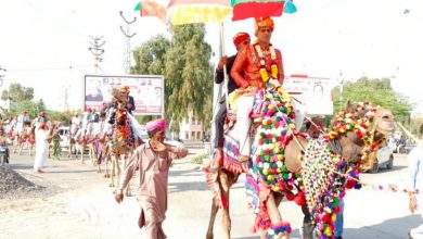Photo of दुल्हन को लेने ऊँट पर सवार होकर पहुंचा दूल्हा