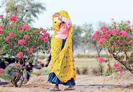 Photo of शौच के लिए गई महिला से दो युवकों ने की छेड़छाड़  आपत्ति ज़ाहिर करने पर शोहदों ने महिला को किया अर्धनग्न