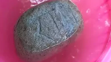 Photo of नदी में तैरता मिला ‘राम’ नाम लिखा पत्थर
