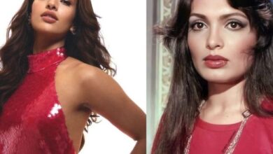 Photo of पर्दे पर Parveen Babi बनेंगी तृप्ति डिमरी , दीवाली धमाका