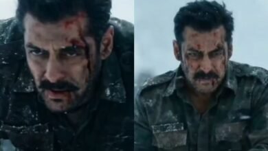 Photo of इस एक्टर के निधन की वजह से टली Salman Khan की ‘मातृभूमि